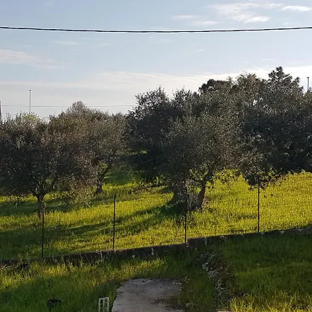 Puccini Semesterbostad Fasano