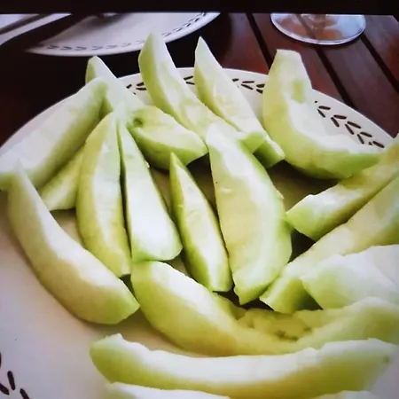 Puccini 펜션 파사노