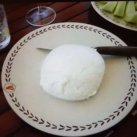 펜션 Puccini 파사노